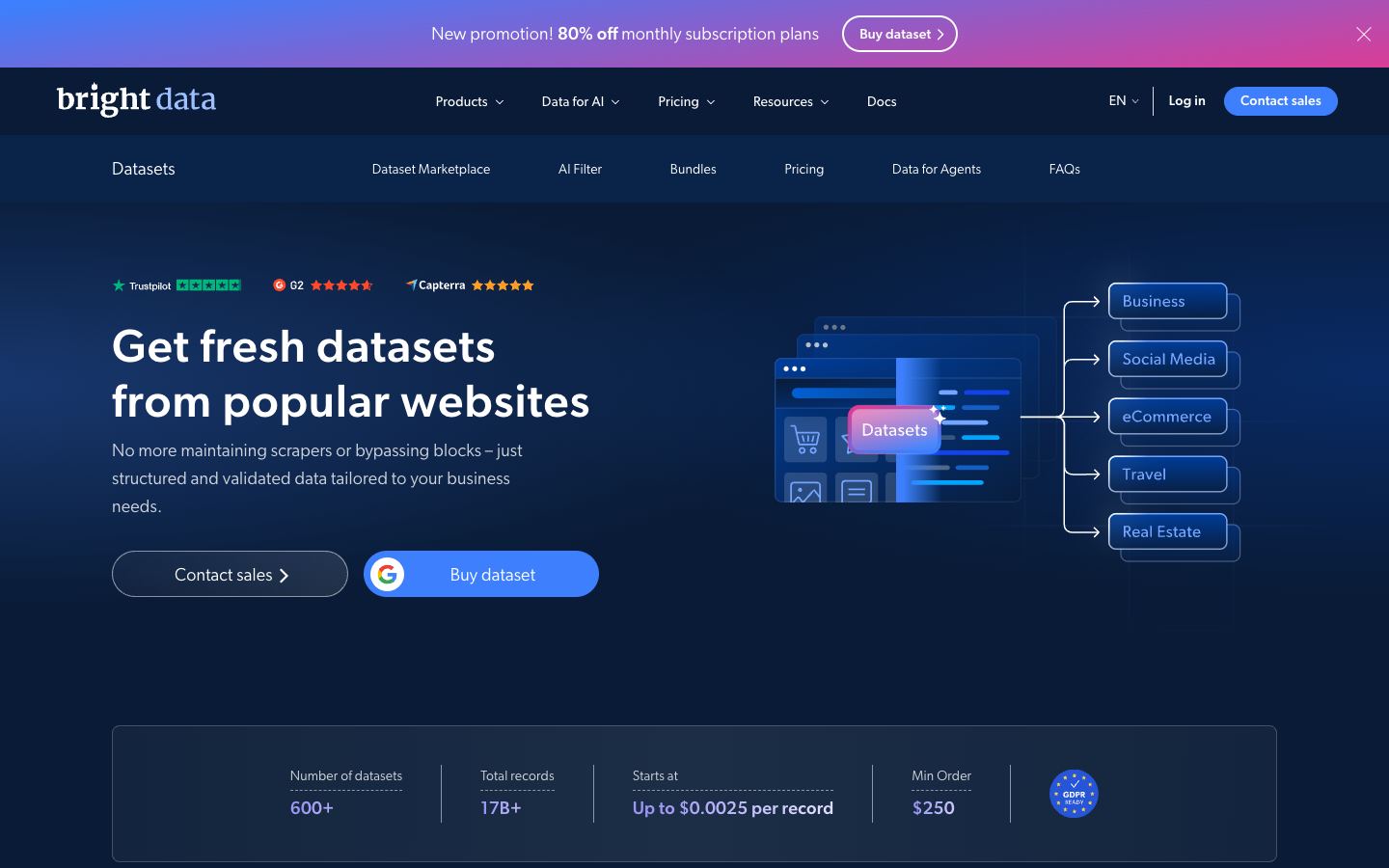 Bright Data Datasets website