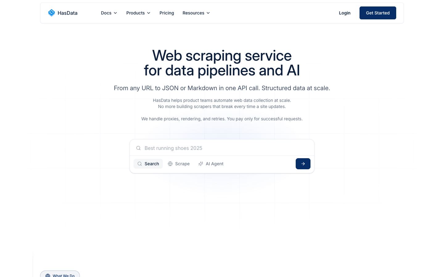 HasData website