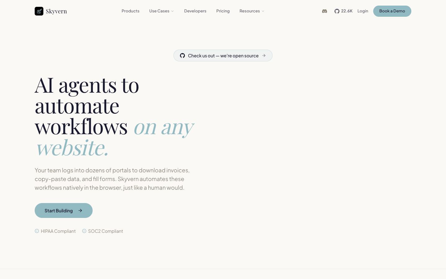 Skyvern website
